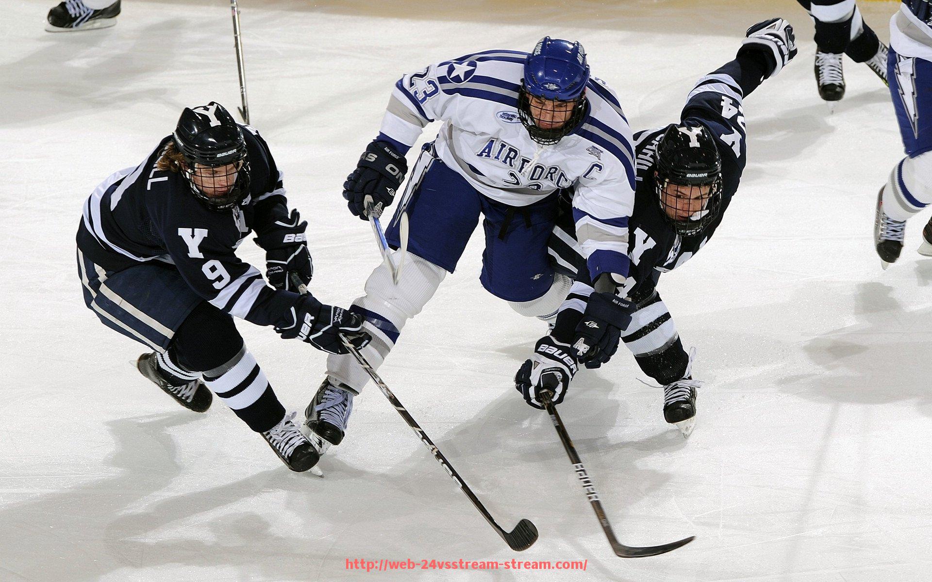 24VS体育直播-如何开设健身器材销售与租赁业务的实用指南